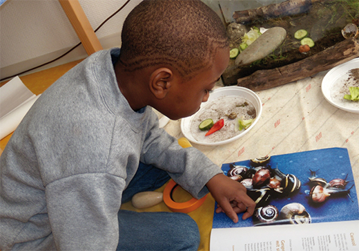 Werkstattpädagogik, Waterkampakademie, Betrifft Kinder Fachzeitschrift, Kind liest, Schnecken, Schneckenbuch